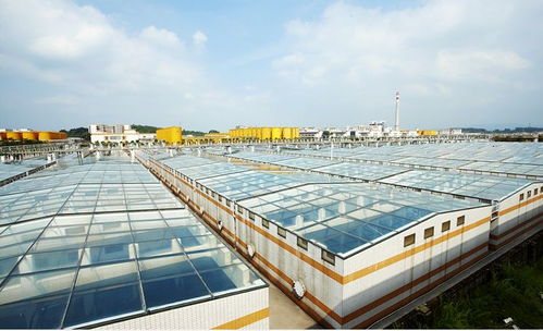 中國(guó)食品制造大王 調(diào)味品界的茅臺(tái)，億萬(wàn)富豪工廠的“不打醬油”經(jīng)營(yíng)哲學(xué)