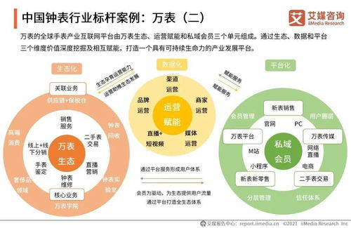 艾媒咨詢《2021年中國鐘表行業發展白皮書》對旅游開發項目策劃咨詢的啟示